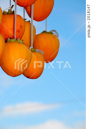 干し柿と青空 2018147