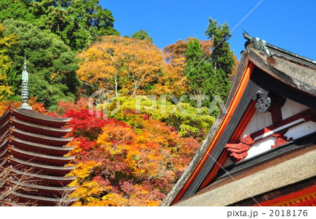 談山神社　十三重の塔と紅葉 2018176