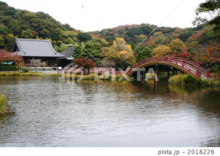 横浜・称名寺の紅葉 2018226
