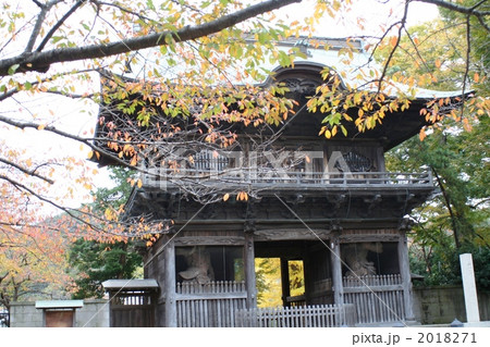称名寺、仁王門の紅葉　横浜 2018271