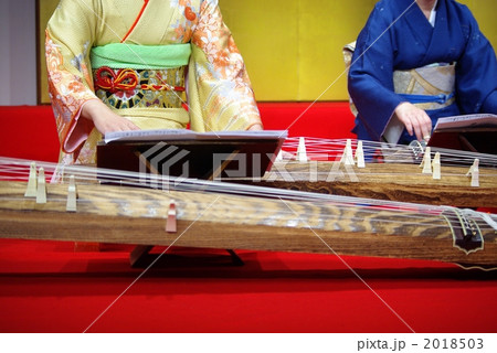 琴の演奏 2018503