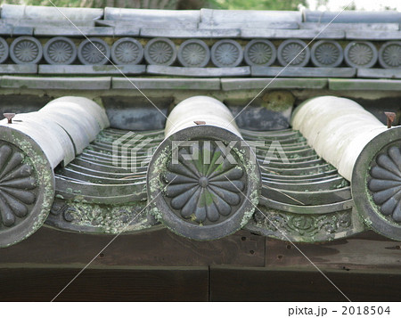 菊の御紋 2018504