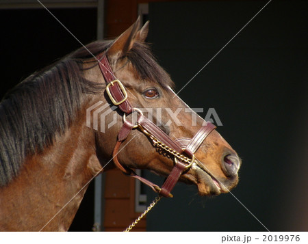 遠くを見つめて 遠くを見つめて 2019976