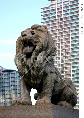 なにわのライオン 2020849