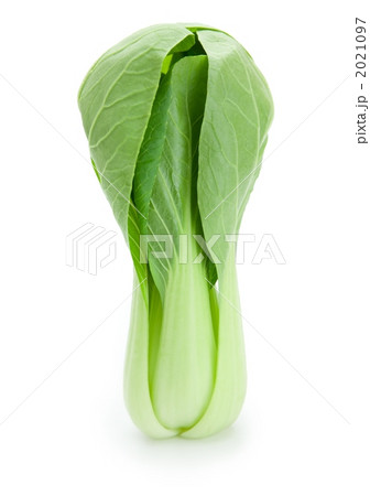 青梗菜 2021097