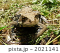 立ち止まってみませぬか？ 2021141