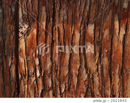 木目 2021643