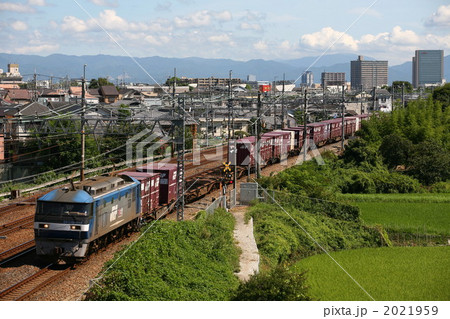 東海道本線を走るコンテナ列車 2021959