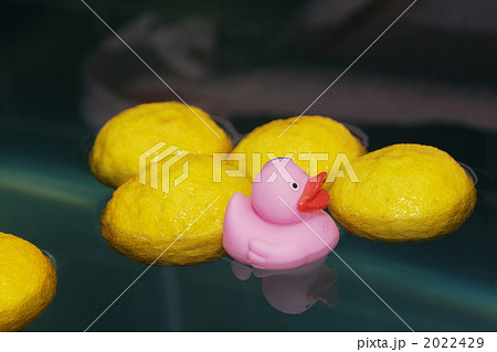 ぽかぽか柚子湯 2022429