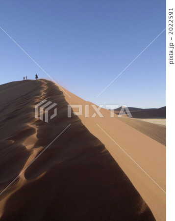 ナミブ砂漠 2022591
