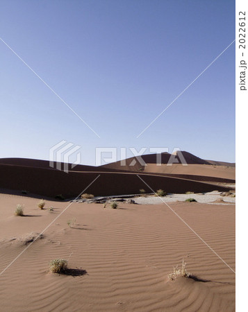 ナミブ砂漠 2022612