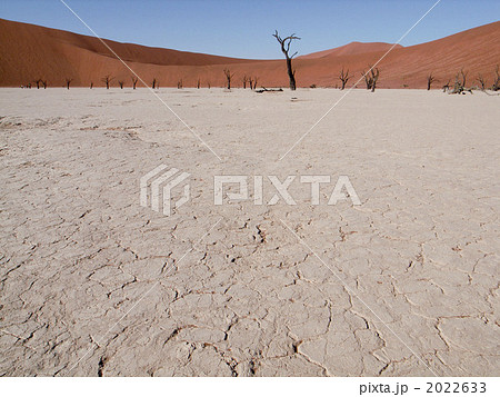 ナミブ砂漠 2022633