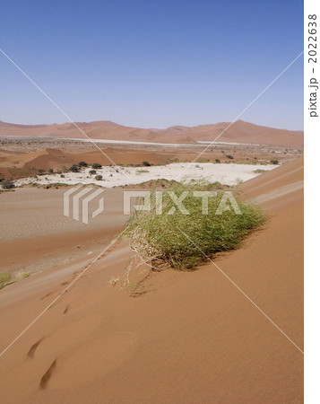 ナミブ砂漠 2022638