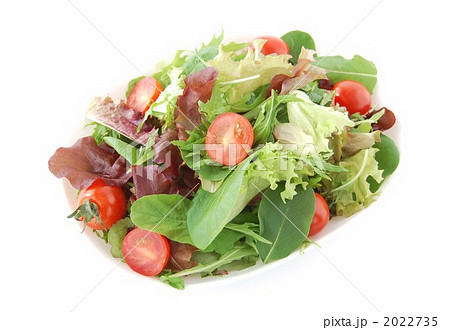 フレッシュグリーンサラダ 2022735