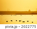 朝のひと時 2022775