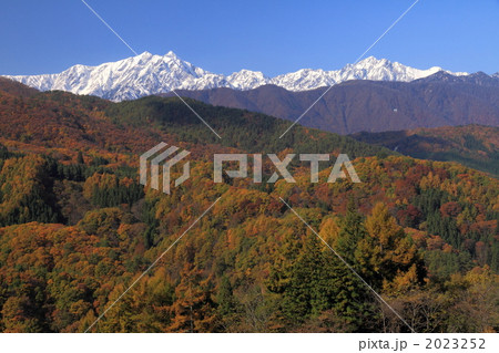 新雪の鹿島槍ヶ岳、五竜岳 2023252