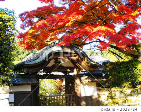 滋賀・坂本 2023724