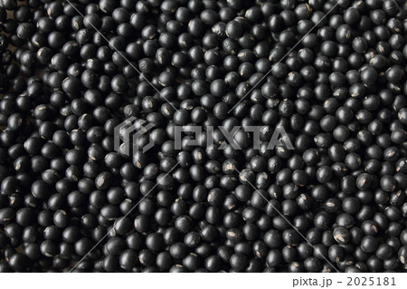 黒千石黒大豆 黒千石黒大豆 2025181