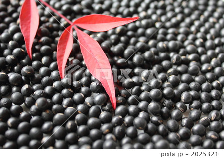 黒千石黒大豆と紅葉した南天の葉 2025321
