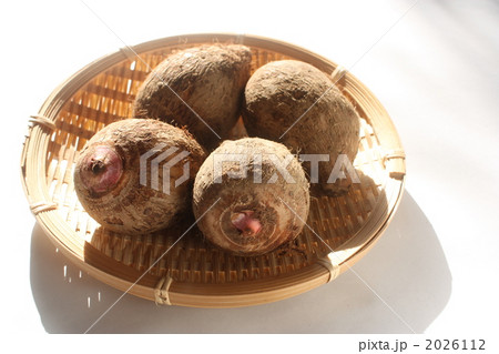 赤芽里芋 赤芽里芋 2026112