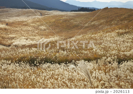 奈良　曽爾高原 2026113