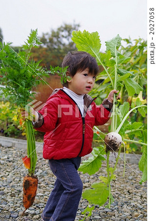 ニンジンとカブを持つ子供 ニンジンとカブを持つ子供 2027058