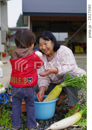 野菜を洗うお婆ちゃんと子供 2027080