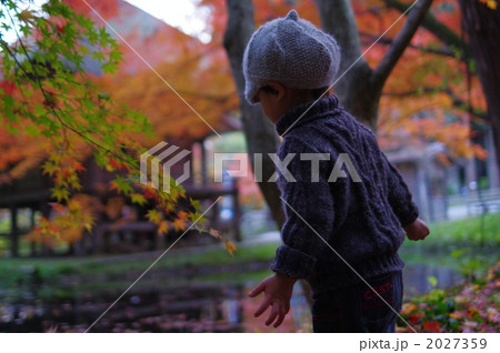 紅葉と子供 紅葉と子供 2027359