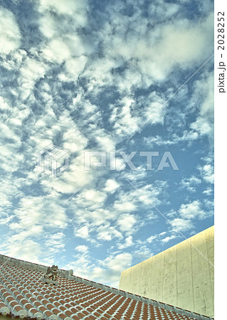 屋根の上のシーサー 2028252