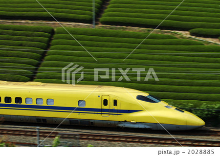 ドクターイエロー 2028885