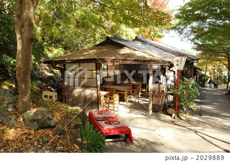 養老公園茶屋 2029889