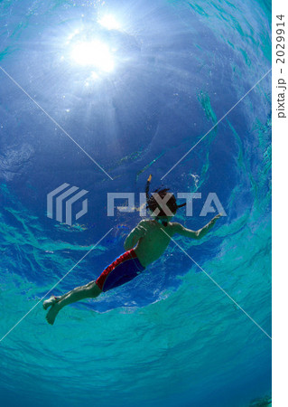 スノーケル 2029914