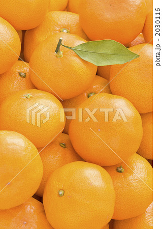 みかん 2030116