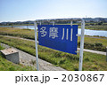 多摩川 2030867