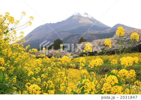 雨あがりの由布院 2031847