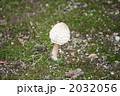 2032056