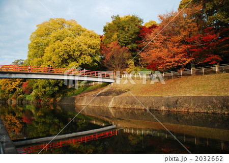 竜田川紅葉 竜田川紅葉 2032662