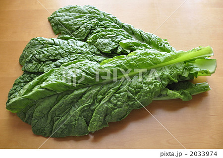 かつお菜 2033974