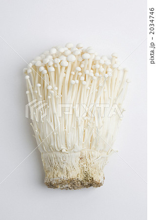 エノキダケ 2034746