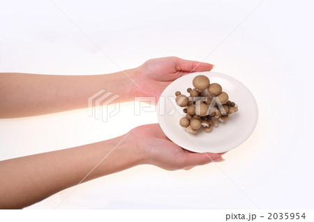 プナシメジ 2035954