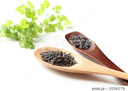 セルフィーユとバジルの種 セルフィーユとバジルの種 2036279