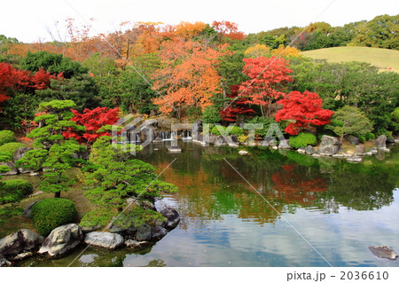 日本庭園 万博記念公園 の写真素材