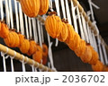 干し柿の列 2036702