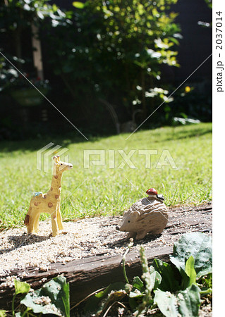 キリンとハリネズミ 2037014