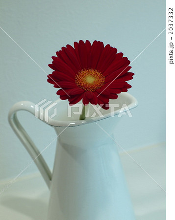 一輪挿し 2037332