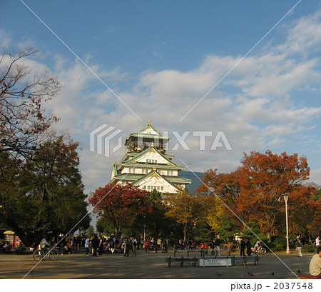 大阪城紅葉1 2037548