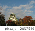 大阪城紅葉2 2037549