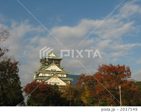 大阪城紅葉2 2037549