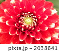 2038641
