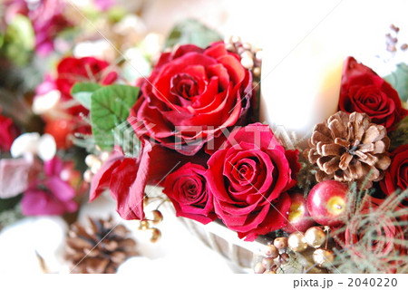 クリスマスフラワー 2040220